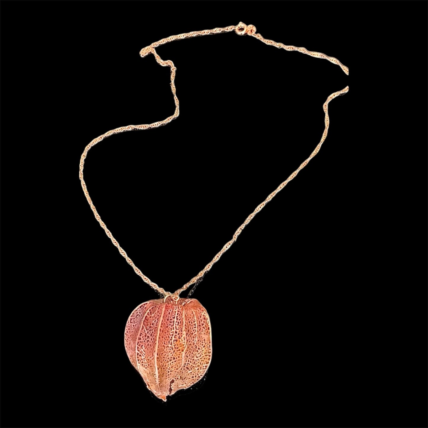 Skeletonized Physalis fruit necklace